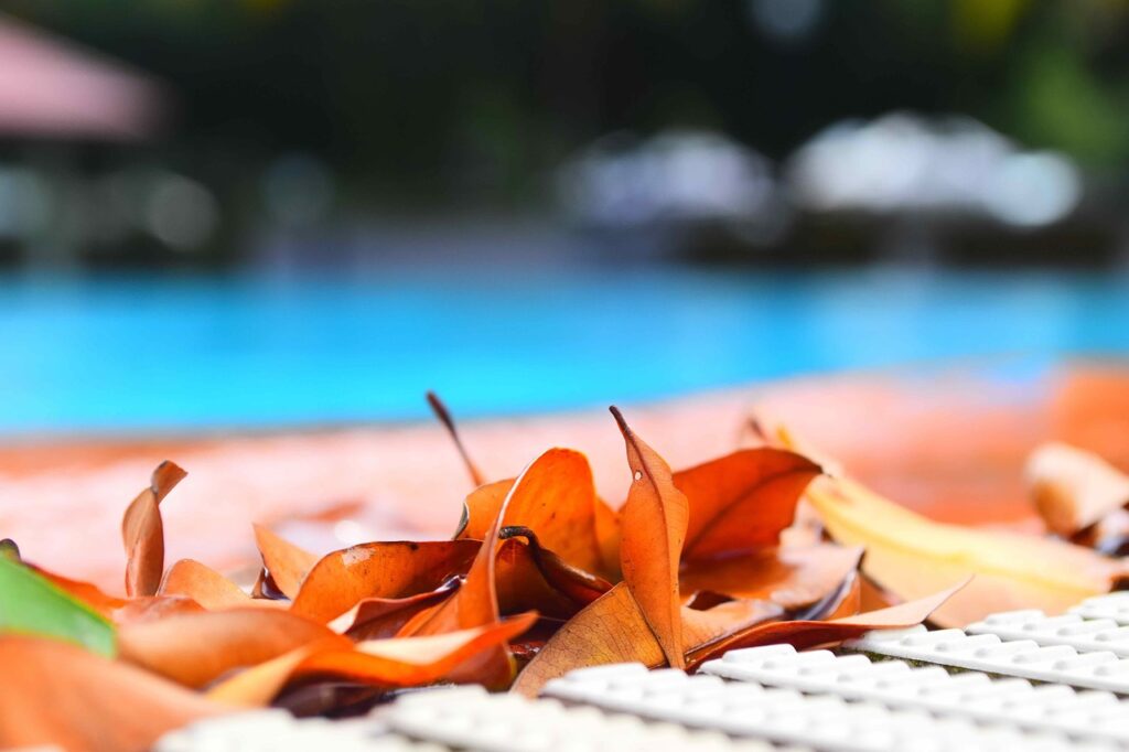 Hollandia-Pools-2023-Swimming-Pool-opening-tips